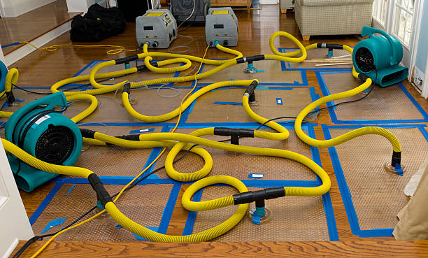 Professional Crawl Space Water Removal technician working in Bronx, NY